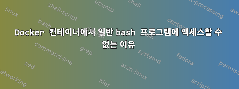 Docker 컨테이너에서 일반 bash 프로그램에 액세스할 수 없는 이유