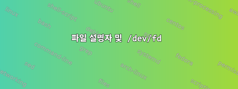 파일 설명자 및 /dev/fd