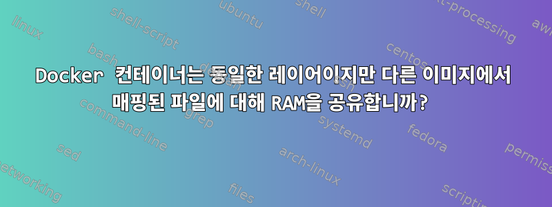 Docker 컨테이너는 동일한 레이어이지만 다른 이미지에서 매핑된 파일에 대해 RAM을 공유합니까?