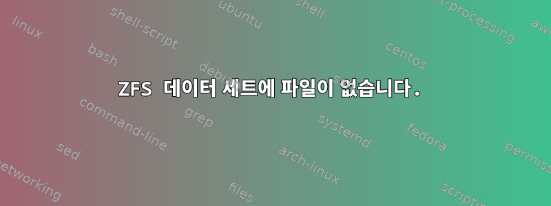 ZFS 데이터 세트에 파일이 없습니다.