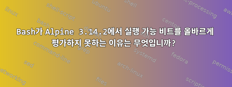 Bash가 Alpine 3.14.2에서 실행 가능 비트를 올바르게 평가하지 못하는 이유는 무엇입니까?