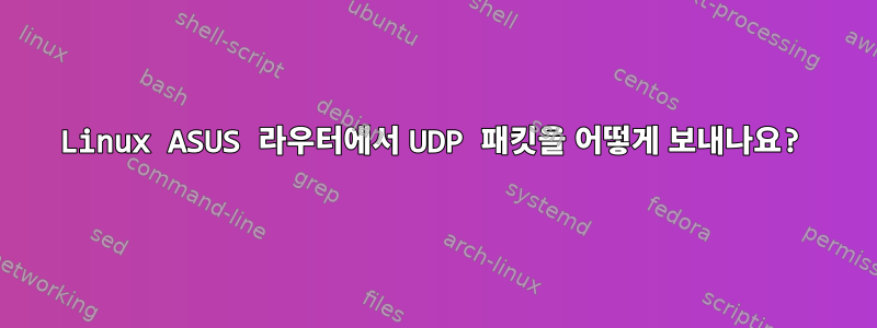 Linux ASUS 라우터에서 UDP 패킷을 어떻게 보내나요?