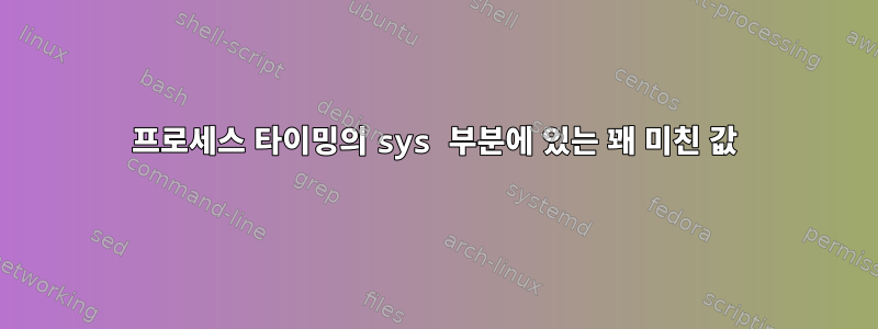 프로세스 타이밍의 sys 부분에 있는 꽤 미친 값