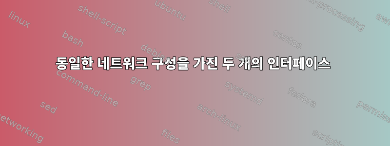 동일한 네트워크 구성을 가진 두 개의 인터페이스