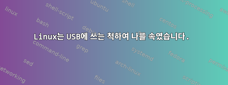 Linux는 USB에 쓰는 척하여 나를 속였습니다.