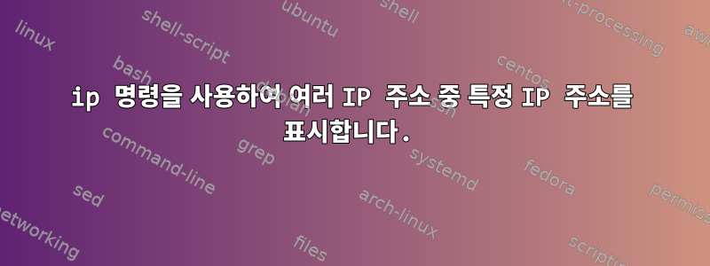 ip 명령을 사용하여 여러 IP 주소 중 특정 IP 주소를 표시합니다.