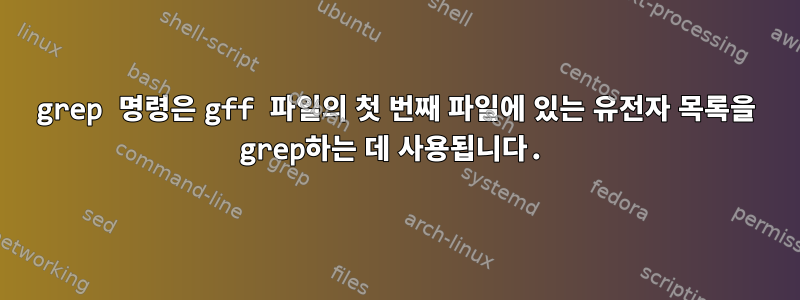 grep 명령은 gff 파일의 첫 번째 파일에 있는 유전자 목록을 grep하는 데 사용됩니다.