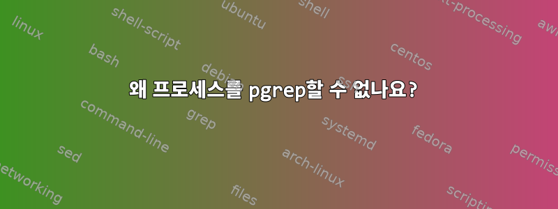 왜 프로세스를 pgrep할 수 없나요?