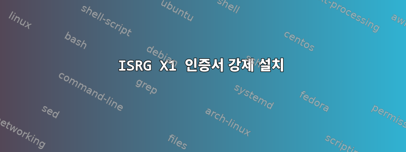 ISRG X1 인증서 강제 설치