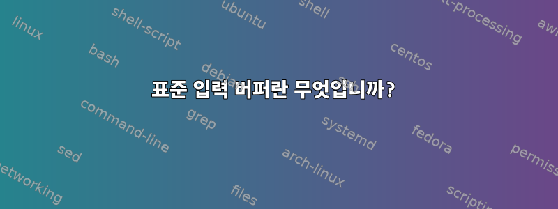 표준 입력 버퍼란 무엇입니까?