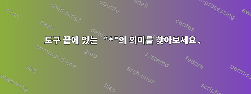 도구 끝에 있는 "*"의 의미를 찾아보세요.