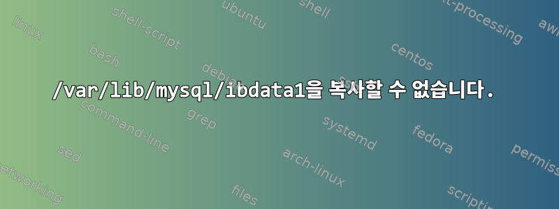 /var/lib/mysql/ibdata1을 복사할 수 없습니다.