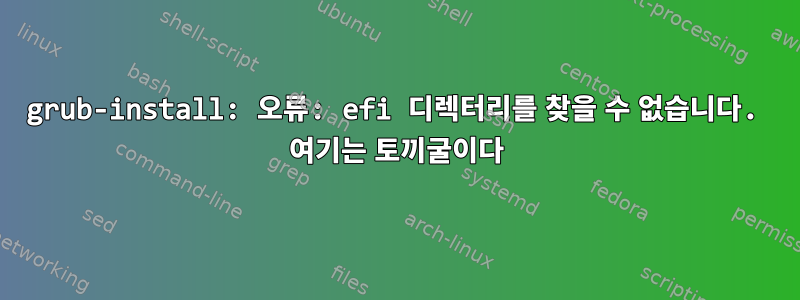 grub-install: 오류: efi 디렉터리를 찾을 수 없습니다. 여기는 토끼굴이다