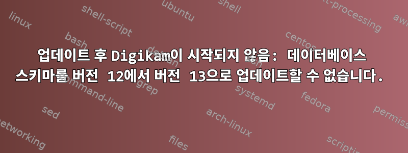 업데이트 후 Digikam이 시작되지 않음: 데이터베이스 스키마를 버전 12에서 버전 13으로 업데이트할 수 없습니다.