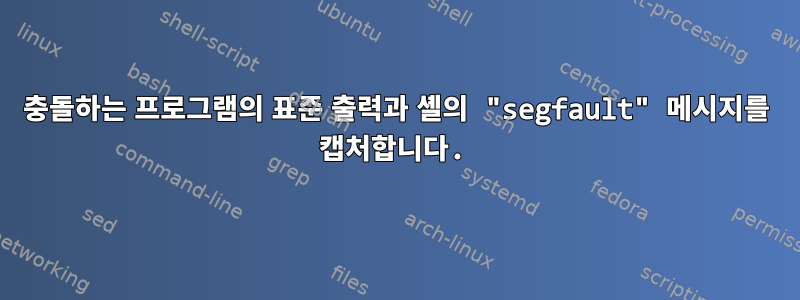 충돌하는 프로그램의 표준 출력과 셸의 "segfault" 메시지를 캡처합니다.