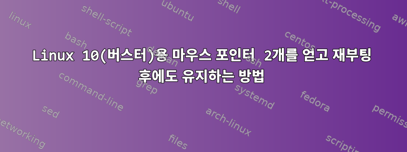 Linux 10(버스터)용 마우스 포인터 2개를 얻고 재부팅 후에도 유지하는 방법