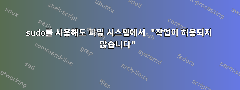 sudo를 사용해도 파일 시스템에서 "작업이 허용되지 않습니다"