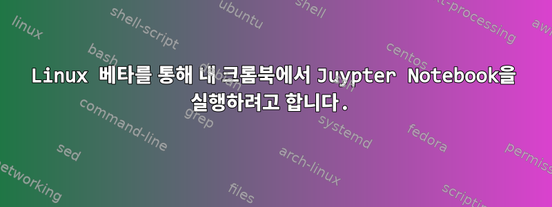 Linux 베타를 통해 내 크롬북에서 Juypter Notebook을 실행하려고 합니다.