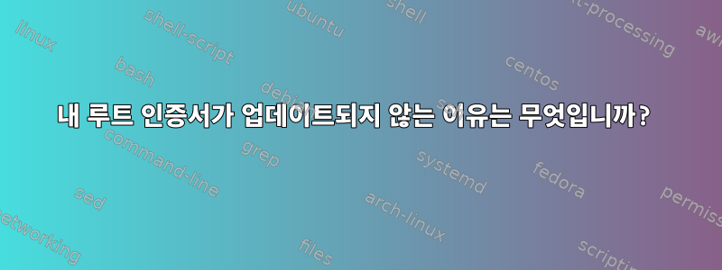 내 루트 인증서가 업데이트되지 않는 이유는 무엇입니까?