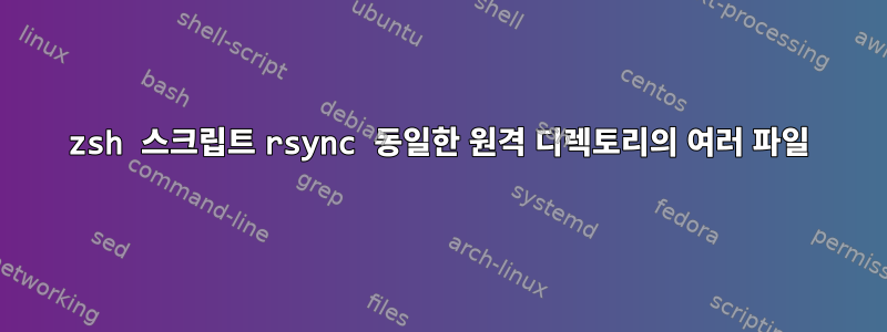 zsh 스크립트 rsync 동일한 원격 디렉토리의 여러 파일