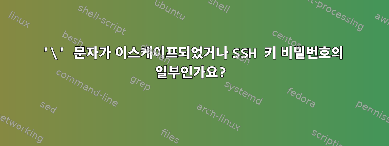 '\' 문자가 이스케이프되었거나 SSH 키 비밀번호의 일부인가요?