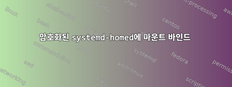 암호화된 systemd-homed에 마운트 바인드