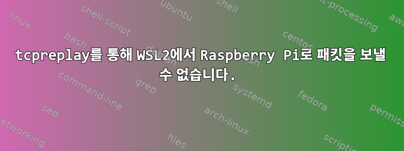 tcpreplay를 통해 WSL2에서 Raspberry Pi로 패킷을 보낼 수 없습니다.