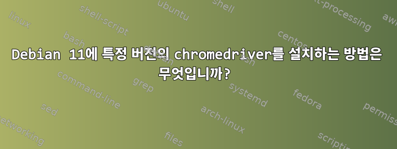 Debian 11에 특정 버전의 chromedriver를 설치하는 방법은 무엇입니까?