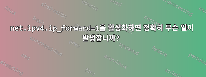 net.ipv4.ip_forward=1을 활성화하면 정확히 무슨 일이 발생합니까?