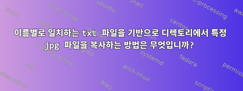 이름별로 일치하는 txt 파일을 기반으로 디렉토리에서 특정 jpg 파일을 복사하는 방법은 무엇입니까?