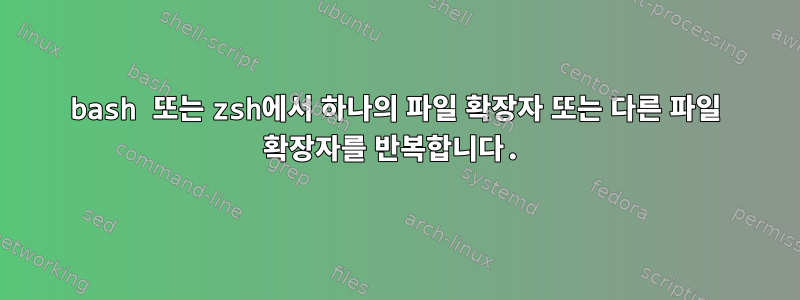 bash 또는 zsh에서 하나의 파일 확장자 또는 다른 파일 확장자를 반복합니다.