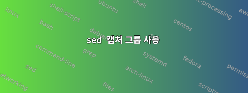 sed 캡처 그룹 사용