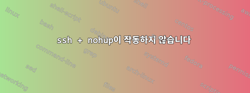 ssh + nohup이 작동하지 않습니다