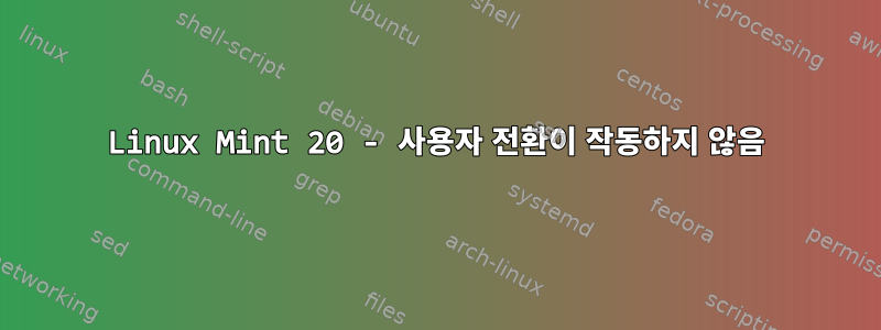 Linux Mint 20 - 사용자 전환이 작동하지 않음