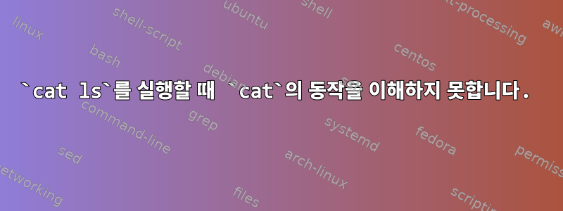 `cat ls`를 실행할 때 `cat`의 동작을 이해하지 못합니다.