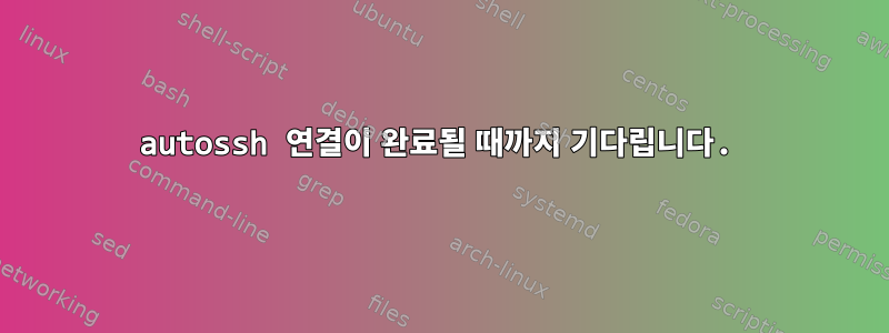 autossh 연결이 완료될 때까지 기다립니다.