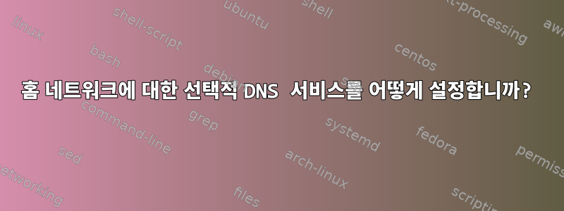 홈 네트워크에 대한 선택적 DNS 서비스를 어떻게 설정합니까?