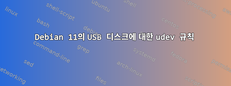 Debian 11의 USB 디스크에 대한 udev 규칙