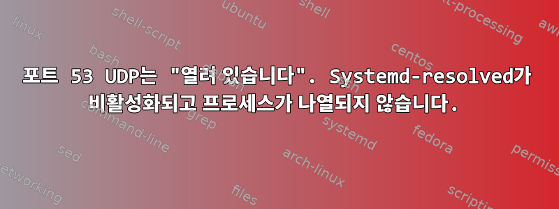 포트 53 UDP는 "열려 있습니다". Systemd-resolved가 비활성화되고 프로세스가 나열되지 않습니다.