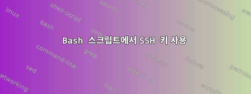 Bash 스크립트에서 SSH 키 사용