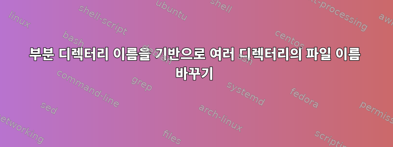 부분 디렉터리 이름을 기반으로 여러 디렉터리의 파일 이름 바꾸기