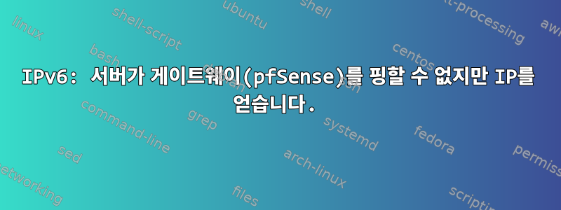 IPv6: 서버가 게이트웨이(pfSense)를 핑할 수 없지만 IP를 얻습니다.