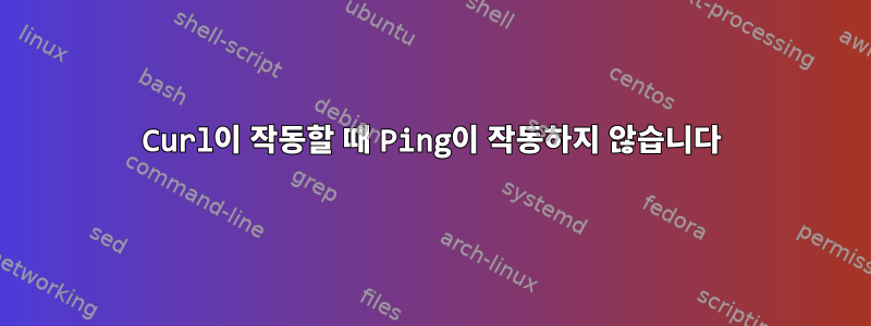 Curl이 작동할 때 Ping이 작동하지 않습니다