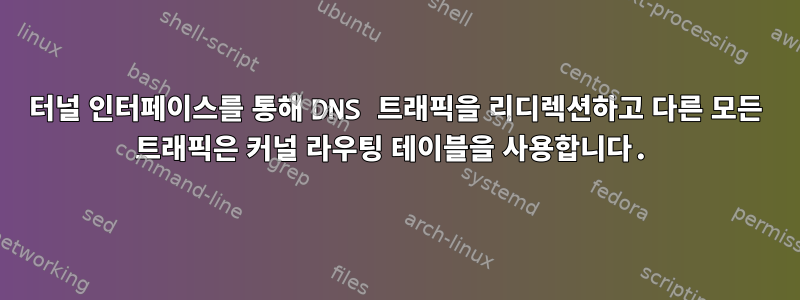 터널 인터페이스를 통해 DNS 트래픽을 리디렉션하고 다른 모든 트래픽은 커널 라우팅 테이블을 사용합니다.