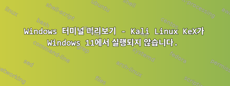 Windows 터미널 미리보기 - Kali Linux KeX가 Windows 11에서 실행되지 않습니다.