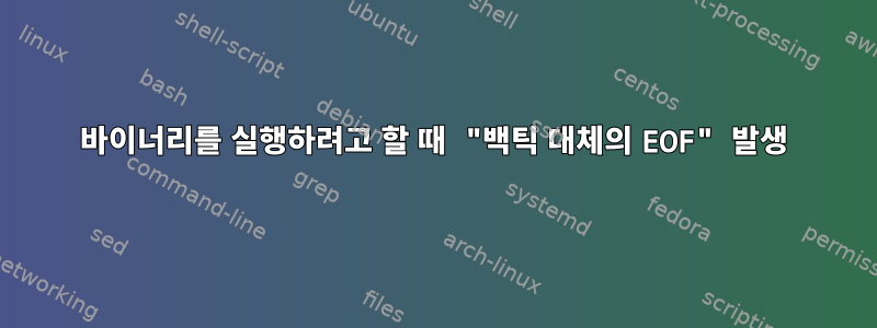 바이너리를 실행하려고 할 때 "백틱 대체의 EOF" 발생