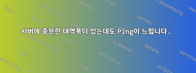 서버에 충분한 대역폭이 있는데도 Ping이 느립니다.