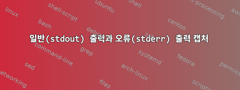 일반(stdout) 출력과 오류(stderr) 출력 캡처