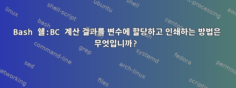 Bash 쉘:BC 계산 결과를 변수에 할당하고 인쇄하는 방법은 무엇입니까?