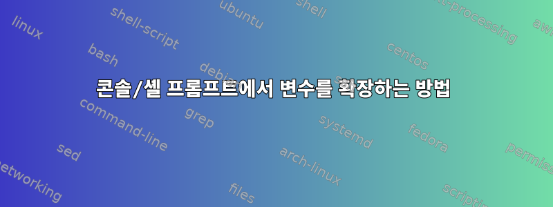 콘솔/셸 프롬프트에서 변수를 확장하는 방법